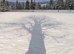 IMG_1703.JPG