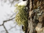 IMG_1715.JPG
