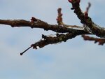 IMG_1848.JPG