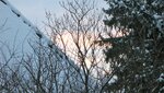 IMG_7017.jpg