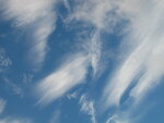IMG_1884.JPG
