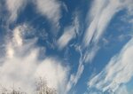 IMG_1887.JPG