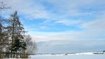 IMG_7029.jpg