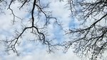 IMG_7124.jpg