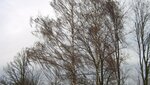 IMG_7120.jpg