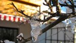 IMG_7140.jpg