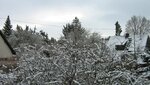 IMG_7151.jpg