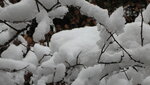 IMG_7168.JPG