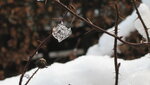 IMG_7184.JPG