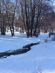 20435d1360401740-aw-jahreszeitenfotos-fruehjahr-sommer-herbst-winter-2012-image.jpg
