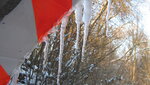 IMG_7217.JPG