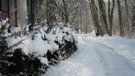 IMG_7230.jpg