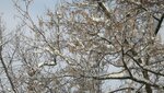 IMG_7228.jpg