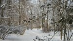 IMG_7222.jpg