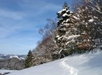 IMG_2160.jpg