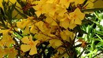 IMG_1261.jpg