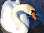 IMG_2420.JPG