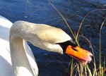 IMG_2414.JPG