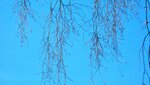 IMG_7254.jpg