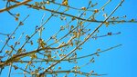IMG_7250.jpg