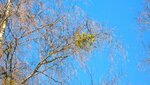 IMG_7251.jpg