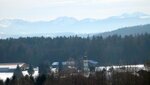 IMG_7239.jpg