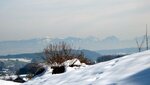 IMG_7255.jpg