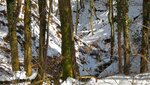 IMG_7260.jpg