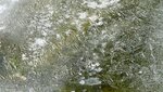 IMG_7274.jpg