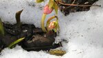 IMG_7277.jpg