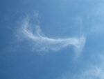 IMG_2440.JPG