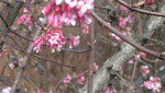 IMG_7324.JPG