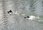 IMG_2820.JPG