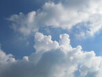IMG_2719.JPG
