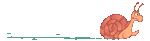 schnecke_0006.gif