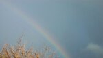 IMG_2843.JPG