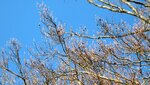 IMG_7411.jpg