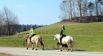IMG_7414.JPG