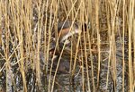 IMG_3002.jpg