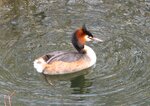 IMG_3016.JPG