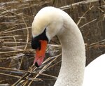 IMG_2986.JPG