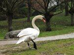IMG_3027.JPG