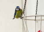 IMG_3197.JPG