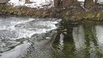 IMG_7441.jpg