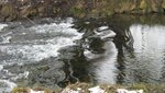 IMG_7449.jpg
