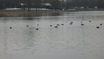 IMG_7466.JPG