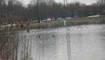 IMG_7463.JPG