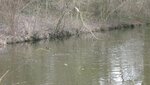 IMG_7468.jpg