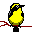 vogel_0236.gif vogel_0236.gif
