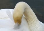 IMG_3525.JPG